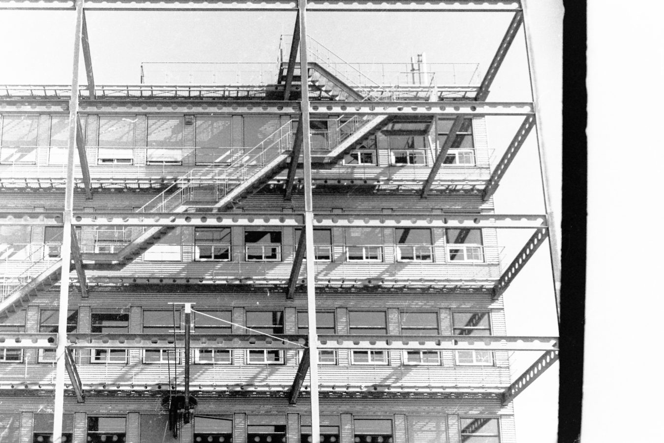 face-of-the-city #16