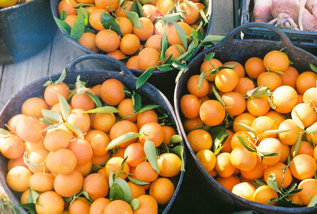 sun-kissed-pink-adventures #1