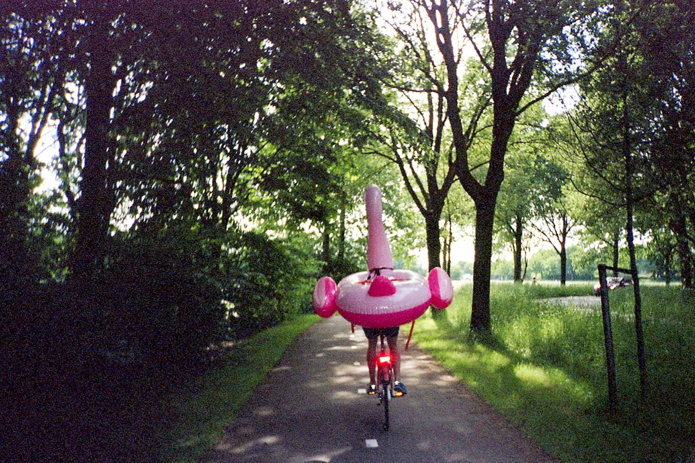 sun-kissed-pink-adventures #9